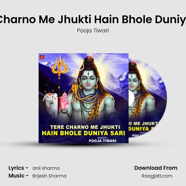 Tere Charno Me Jhukti Hain Bhole Duniya Sari - Pooja Tiwari album cover 