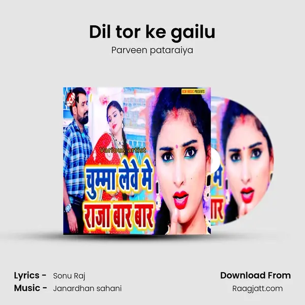 Dil tor ke gailu - Parveen pataraiya album cover 