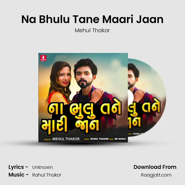 Na Bhulu Tane Maari Jaan - Mehul Thakor album cover 