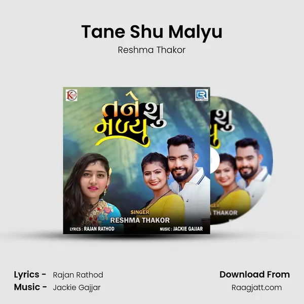 Tane Shu Malyu - Reshma Thakor album cover 