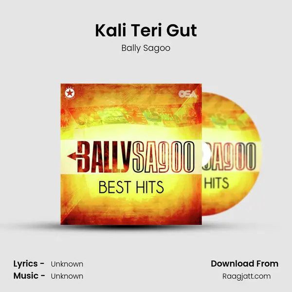 Kali Teri Gut - Bally Sagoo album cover 