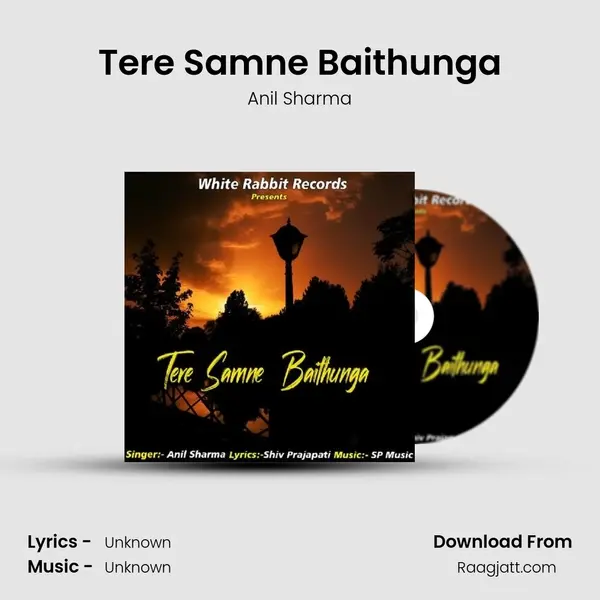 Tere Samne Baithunga - Anil Sharma album cover 