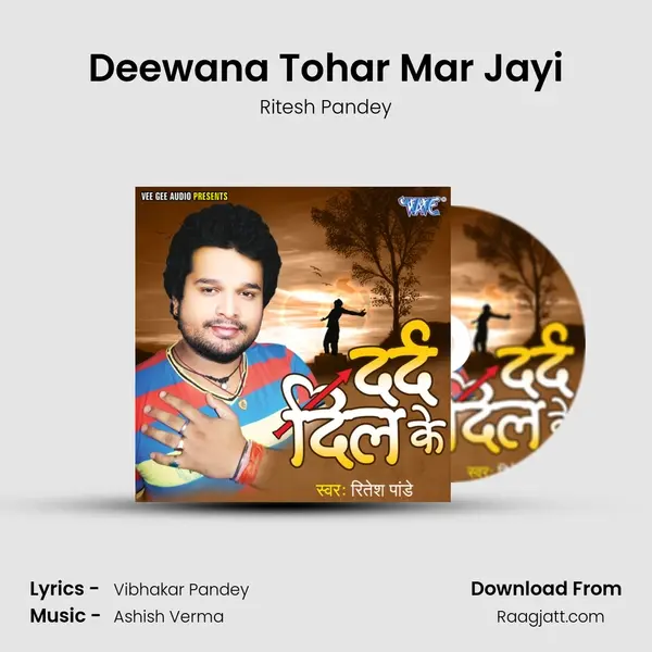 Deewana Tohar Mar Jayi - Ritesh Pandey album cover 