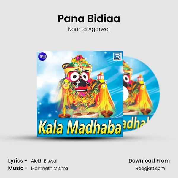 Pana Bidiaa - Namita Agarwal album cover 