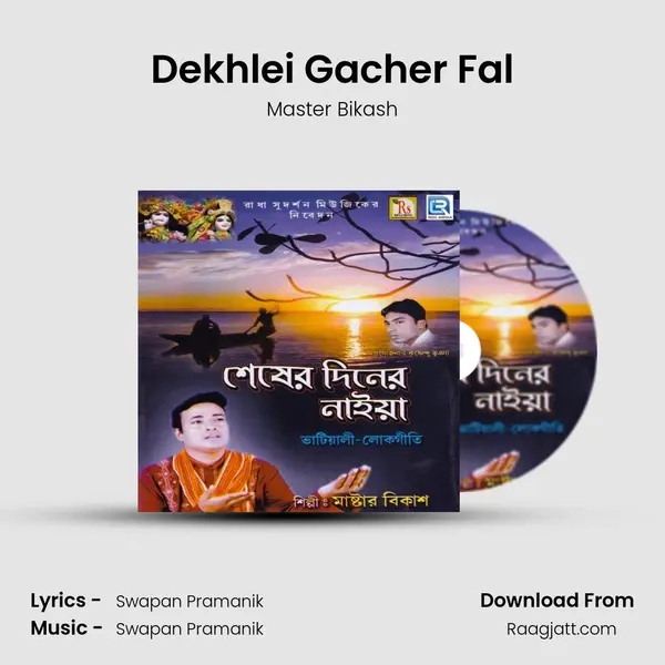 Dekhlei Gacher Fal - Master Bikash album cover 