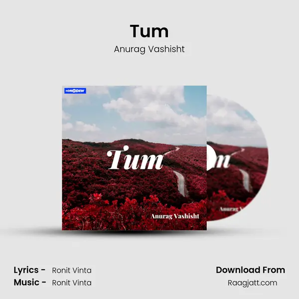 Tum - Anurag Vashisht album cover 