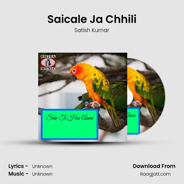 Saicale Ja Chhili - Satish Kumar album cover 