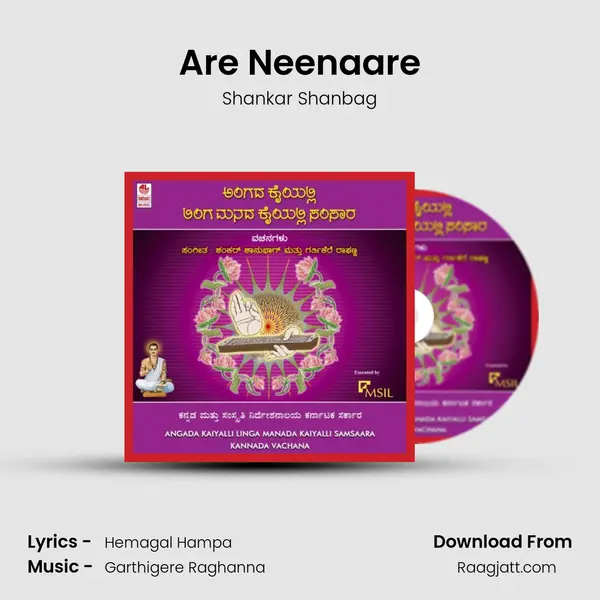 Are Neenaare - Shankar Shanbag album cover 