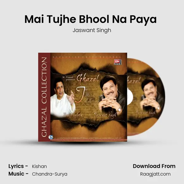 Mai Tujhe Bhool Na Paya (Jazbaat) mp3 song