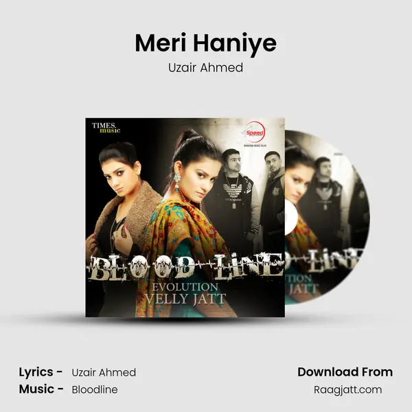 Meri Haniye - Uzair Ahmed album cover 