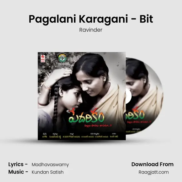 Pagalani Karagani - Bit - Ravinder album cover 