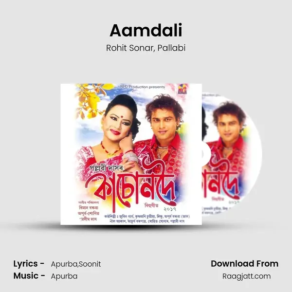 Aamdali - Rohit Sonar album cover 