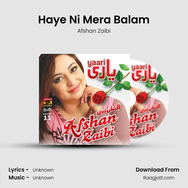 Haye Ni Mera Balam - Afshan Zaibi album cover 