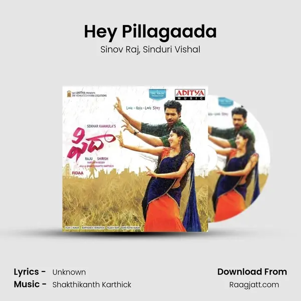 Hey Pillagaada - Sinov Raj album cover 