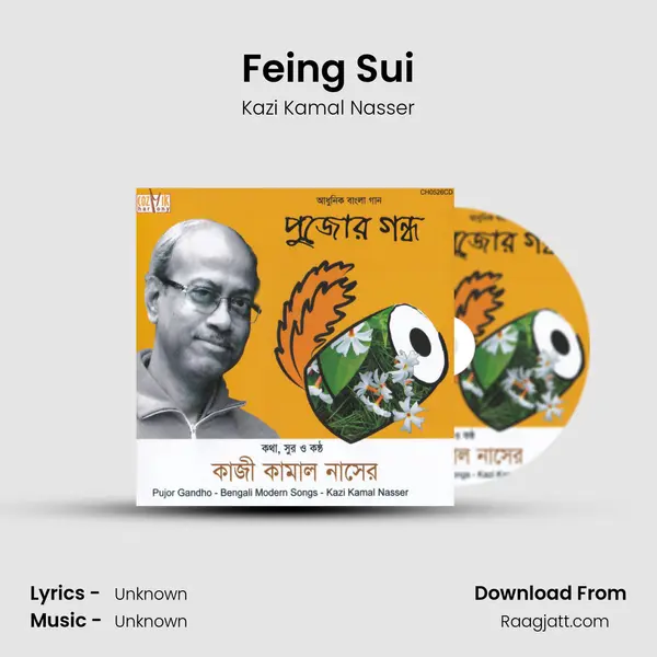 Feing Sui - Kazi Kamal Nasser album cover 