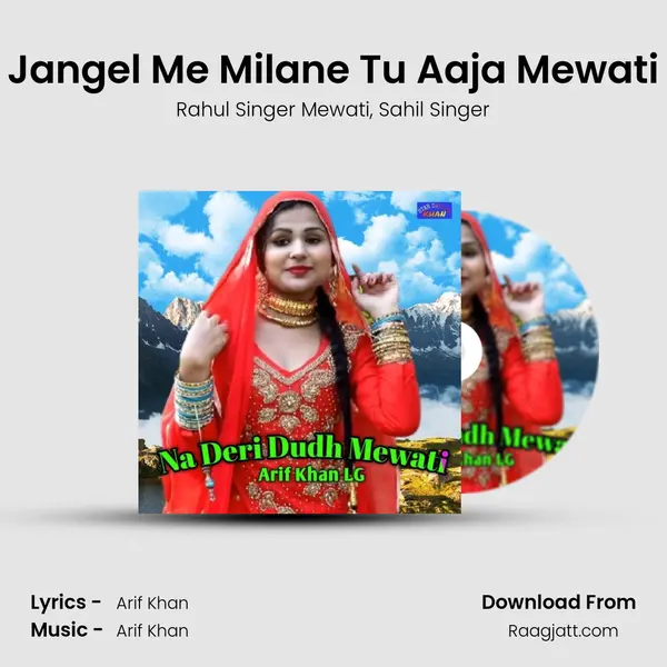 Jangel Me Milane Tu Aaja Mewati - Rahul Singer Mewati album cover 