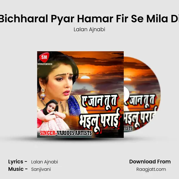 Bichharal Pyar Hamar Fir Se Mila Di - Lalan Ajnabi album cover 