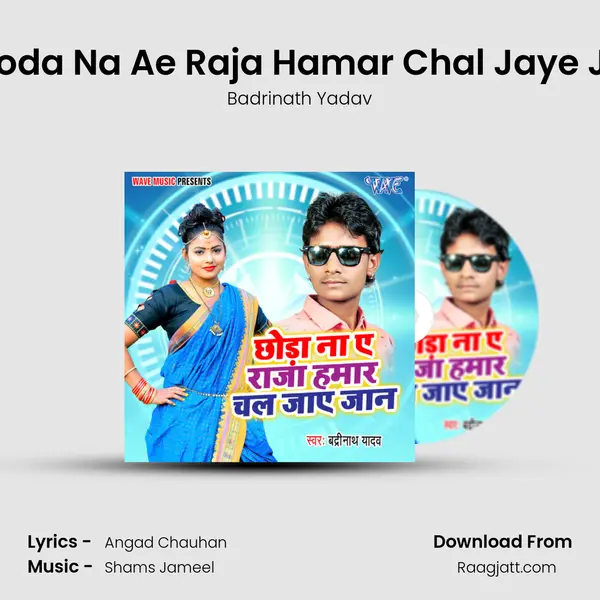 Chhoda Na Ae Raja Hamar Chal Jaye Jaan mp3 song