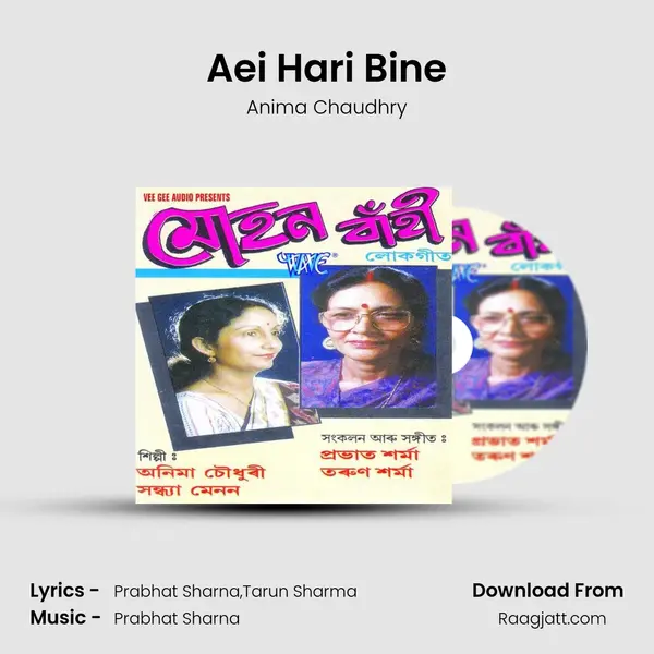 Aei Hari Bine - Anima Chaudhry album cover 