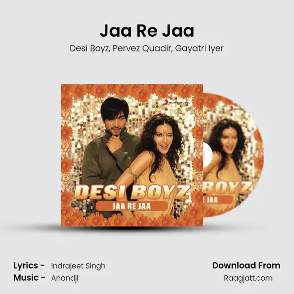 Jaa Re Jaa - Desi Boyz album cover 