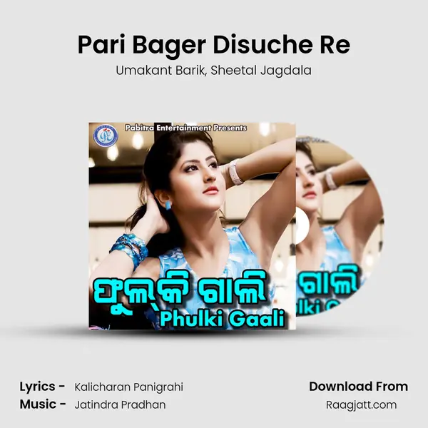 Pari Bager Disuche Re mp3 song