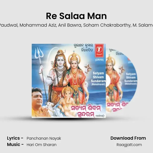 Re Salaa Man - Anuradha Paudwal album cover 