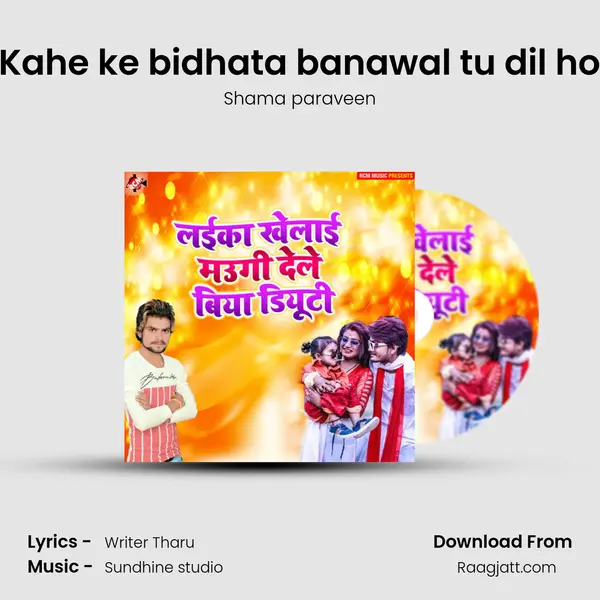 Kahe ke bidhata banawal tu dil ho mp3 song