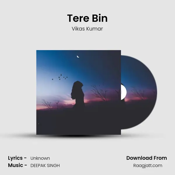 Tere Bin mp3 song