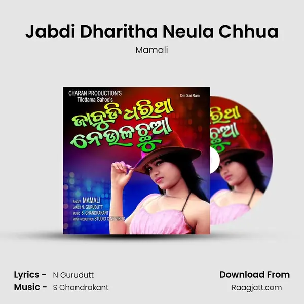 Jabdi Dharitha Neula Chhua mp3 song