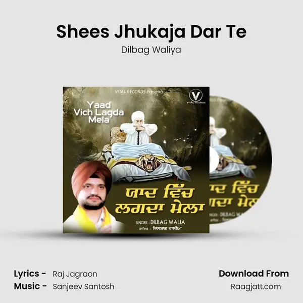 Shees Jhukaja Dar Te - Dilbag Waliya album cover 