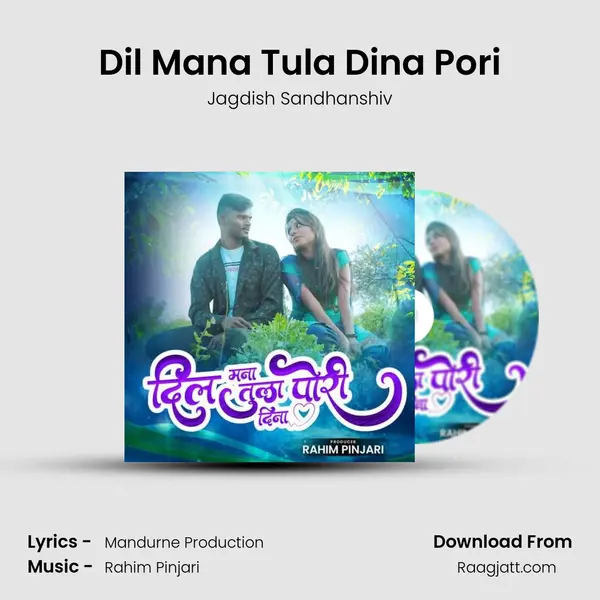 Dil Mana Tula Dina Pori mp3 song