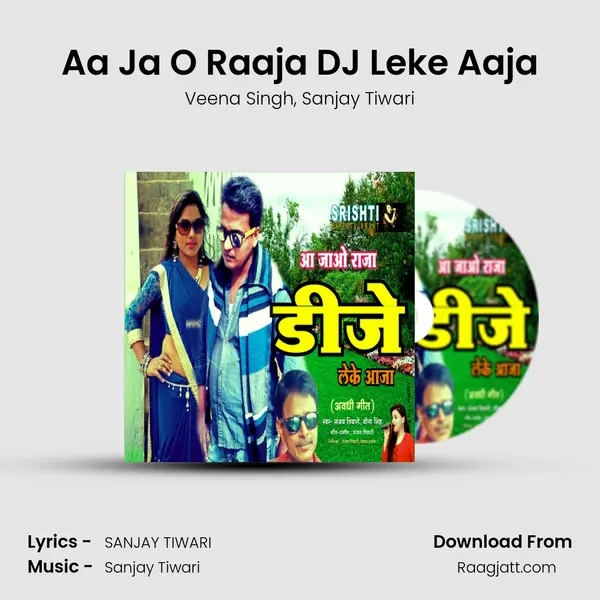 Aa Ja O Raaja DJ Leke Aaja - Veena Singh album cover 