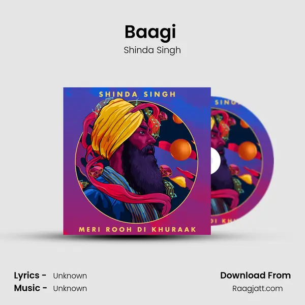 Baagi (Instrumental) - Shinda Singh album cover 