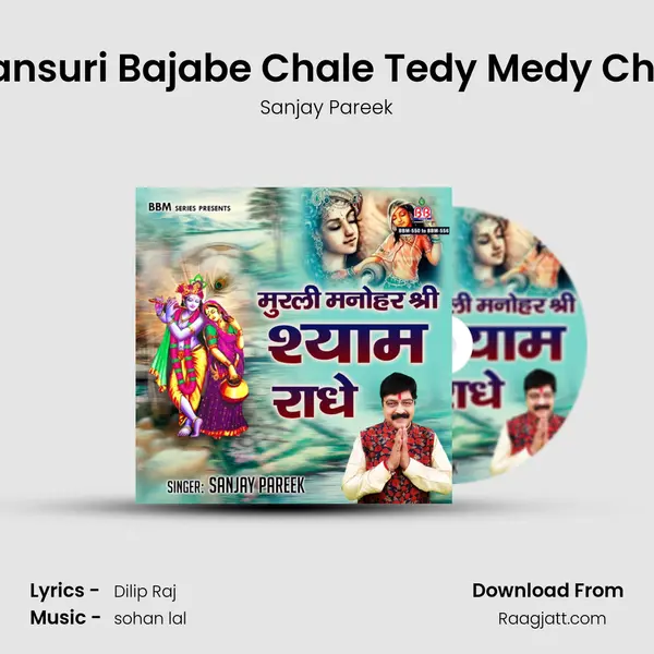 Bansuri Bajabe Chale Tedy Medy Chal - Sanjay Pareek album cover 