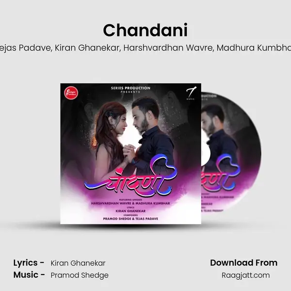 Chandani - Tejas Padave album cover 