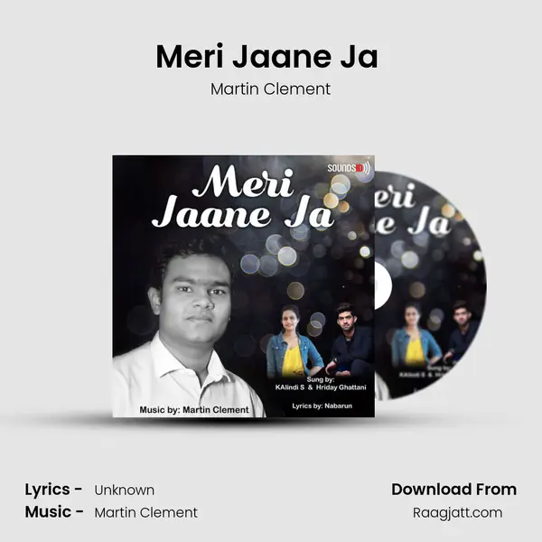 Meri Jaane Ja (Karaoke) - Martin Clement album cover 