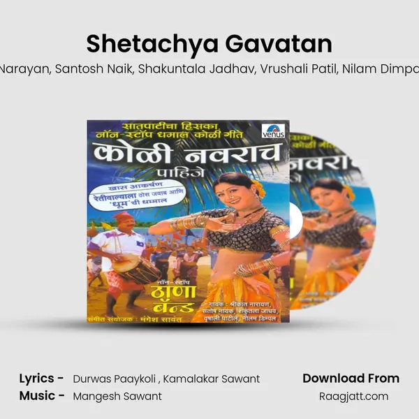 Shetachya Gavatan - Shrikant Narayan album cover 