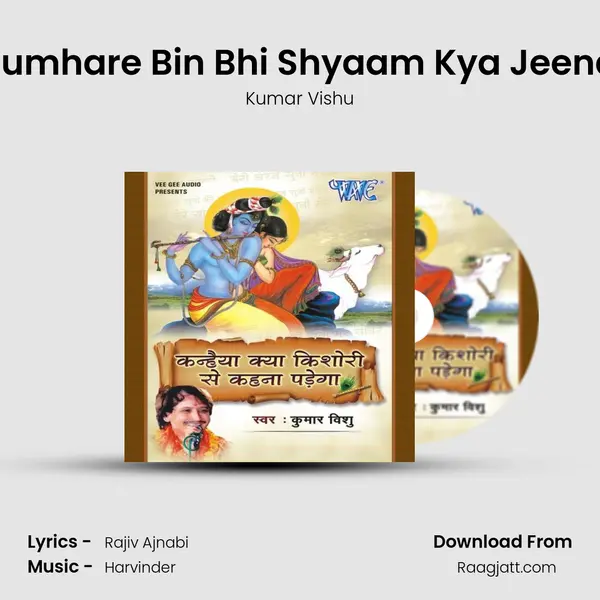 Tumhare Bin Bhi Shyaam Kya Jeena - Kumar Vishu album cover 