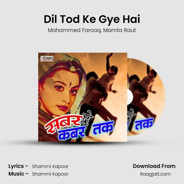 Dil Tod Ke Gye Hai - Mohammed Farooq album cover 