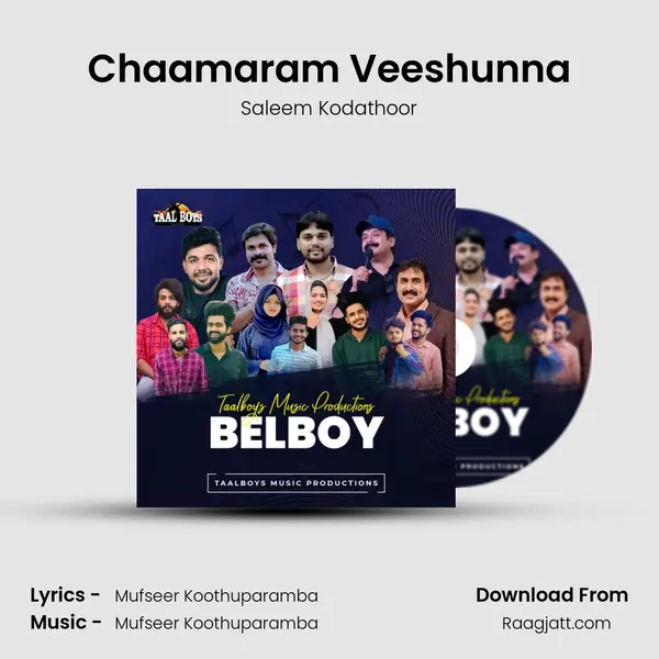 Chaamaram Veeshunna - Saleem Kodathoor album cover 