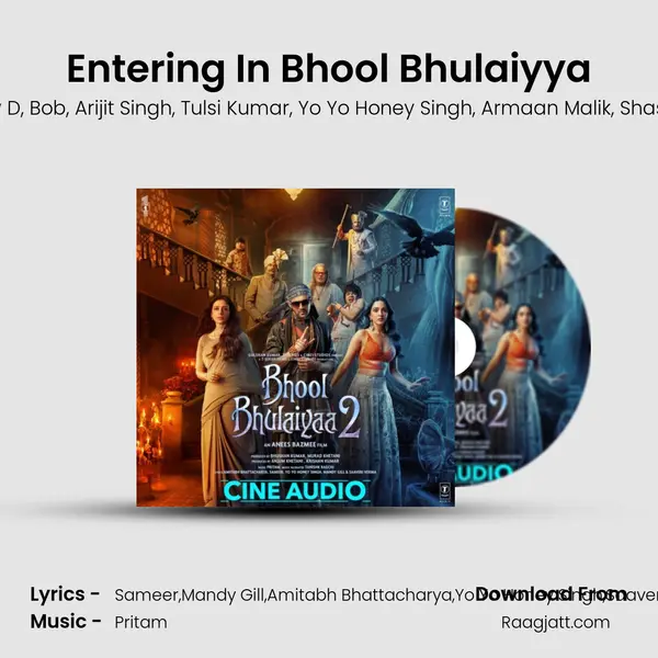 Entering In Bhool Bhulaiyya - Kartik Aaryan album cover 