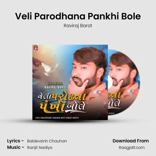 Veli Parodhana Pankhi Bole - Raviraj Barot album cover 