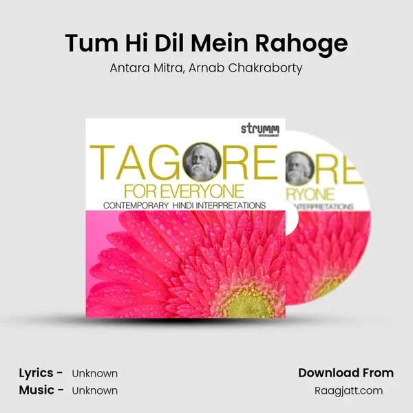 Tum Hi Dil Mein Rahoge - Antara Mitra album cover 