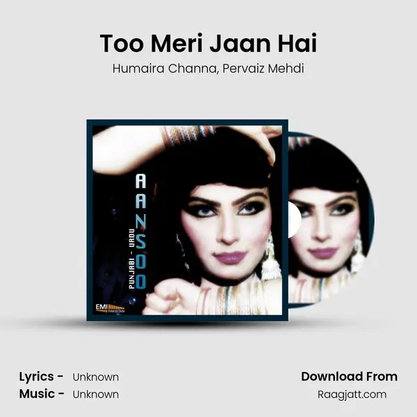 Too Meri Jaan Hai mp3 song