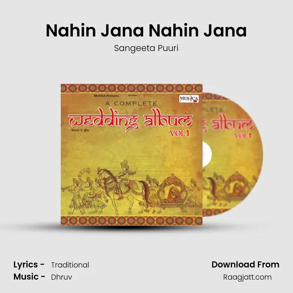 Nahin Jana Nahin Jana - Sangeeta Puuri album cover 