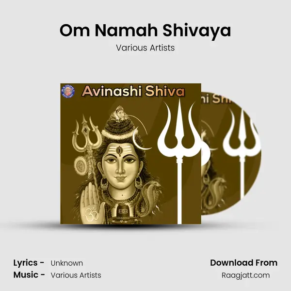 Om Namah Shivaya - Various Artists album cover 