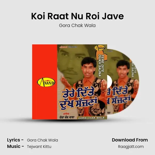 Koi Raat Nu Roi Jave mp3 song