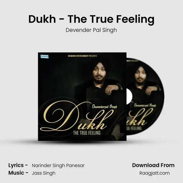 Dukh - The True Feeling - Devender Pal Singh album cover 