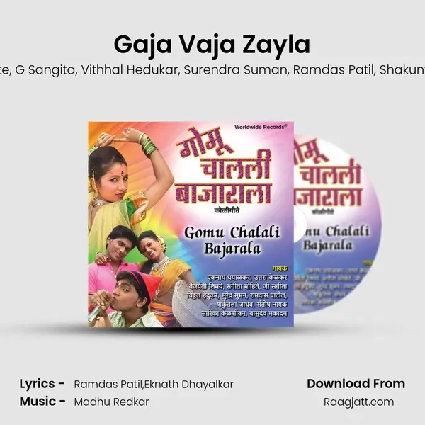 Gaja Vaja Zayla - Eknath Dhayalkar album cover 