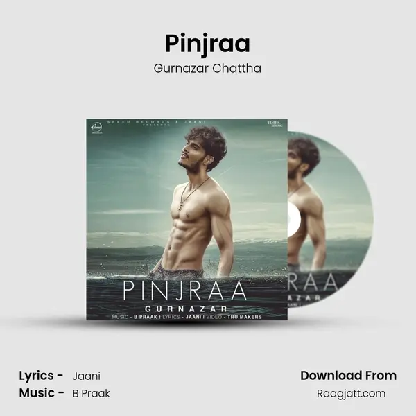 Pinjraa mp3 song